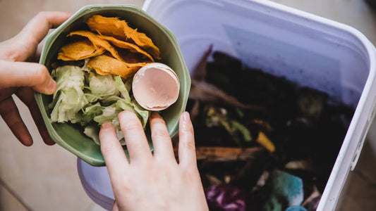 How to Create Your Own Compost at Home - EcoBeo