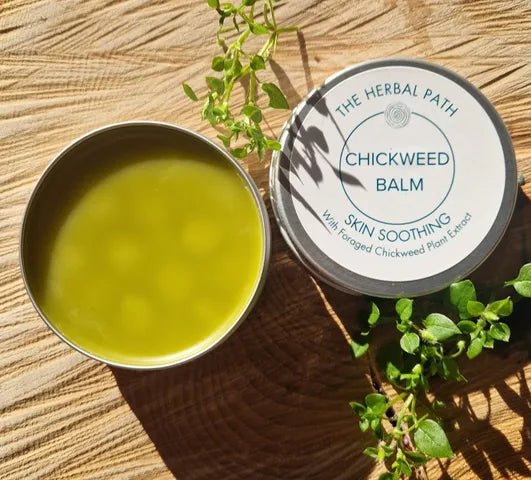 Chickweed Balm - EcoBeo
