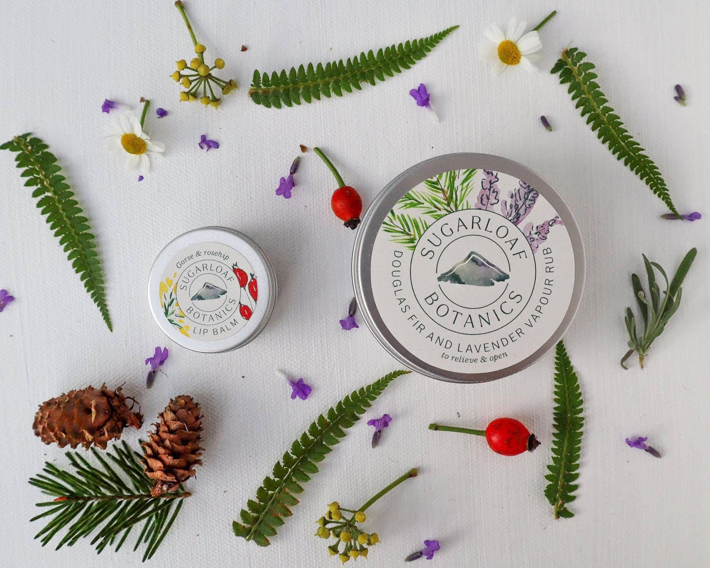 Gorse & Rosehip Lip Balm