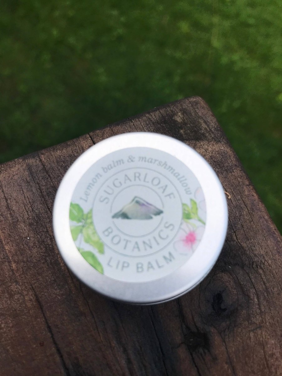 Lemon Balm & Marshmallow Lip Balm - EcoBeo