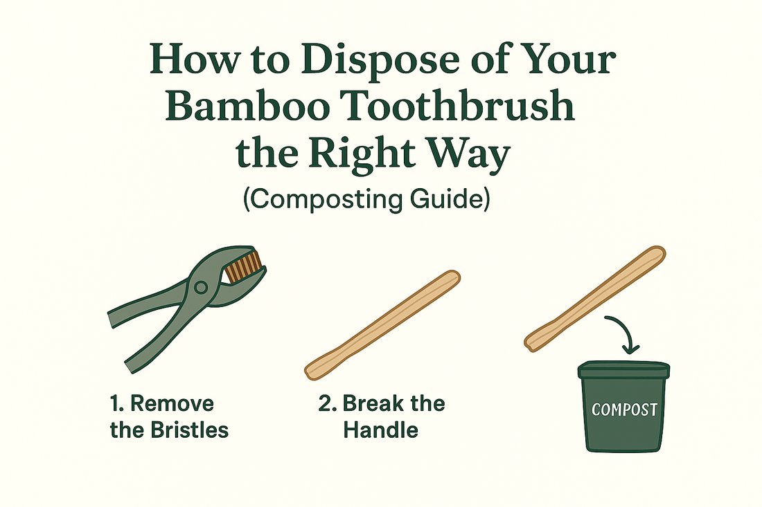 How to Dispose of Your Bamboo Toothbrush the Right Way (Composting Guide) - EcoBeo