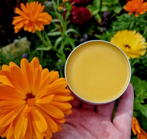 Calendula Balm - EcoBeo