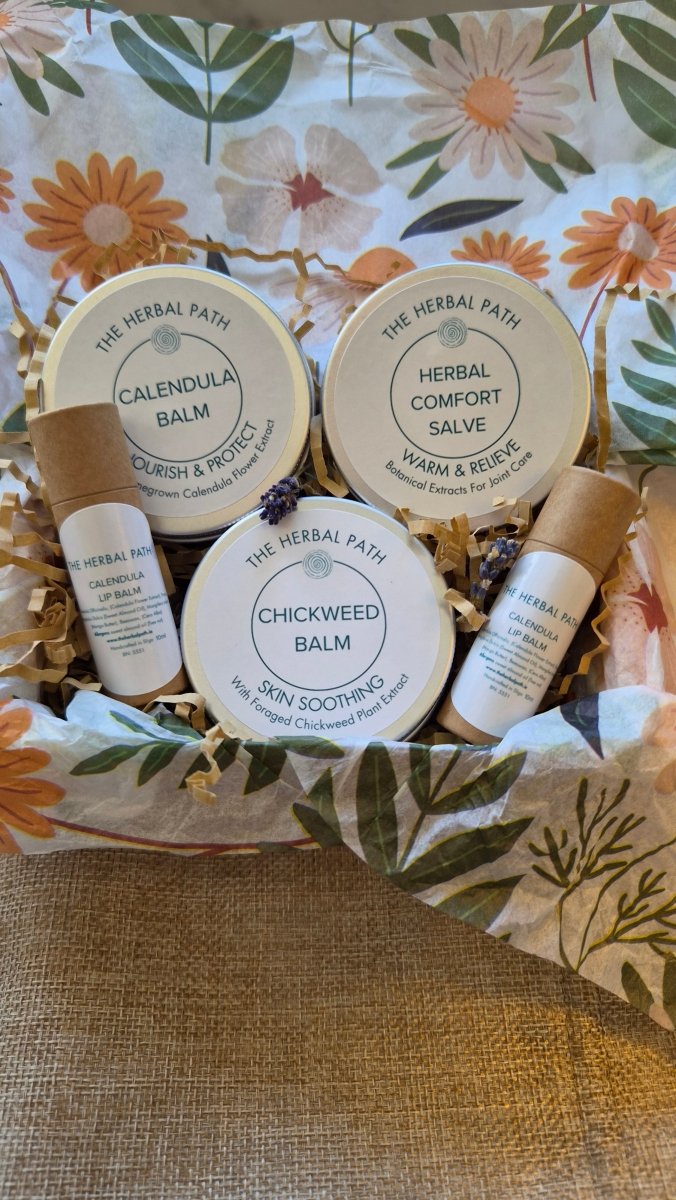 Calendula Lip Balm - EcoBeo