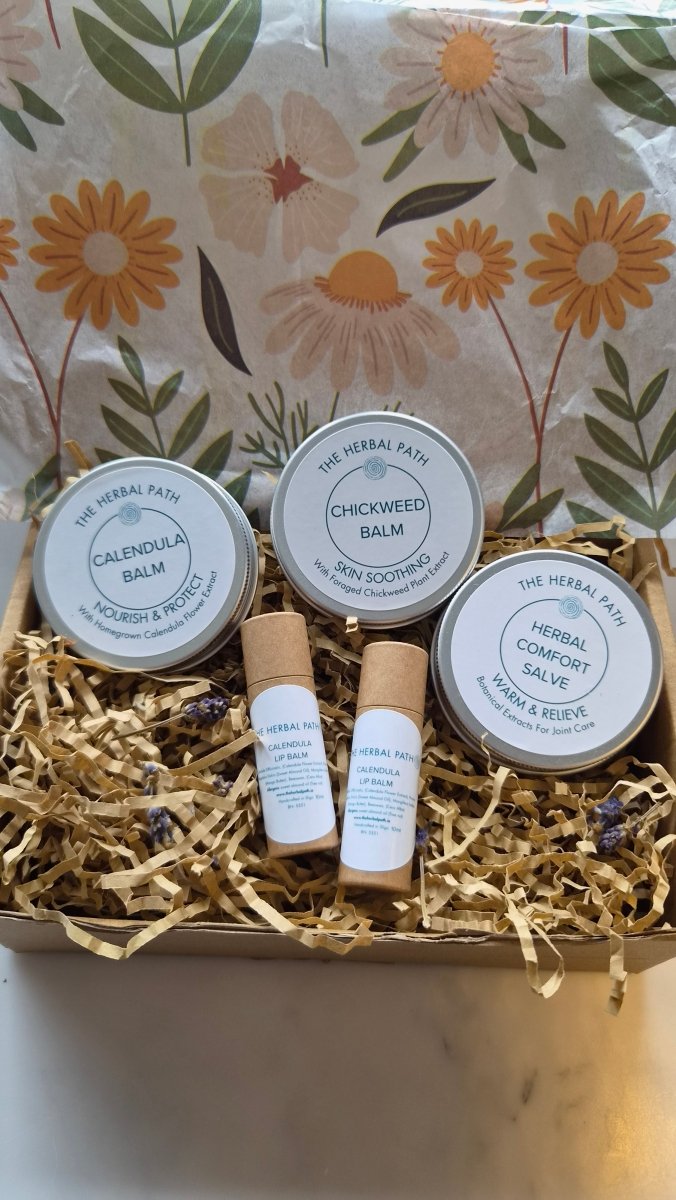 Calendula Lip Balm - EcoBeo