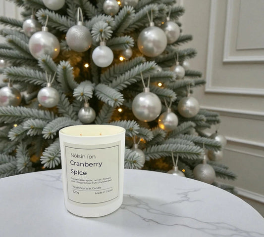 Cranberry Spice Candle - EcoBeo
