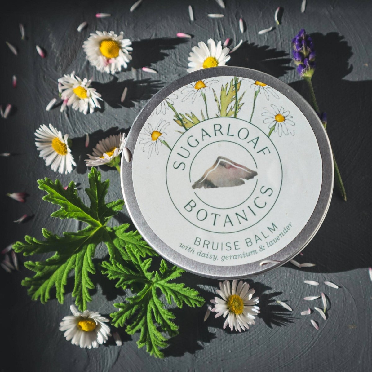 Daisy Salve – Natural Skin Soother - EcoBeo