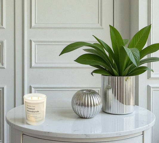 Frosted Woodlands Candle - EcoBeo