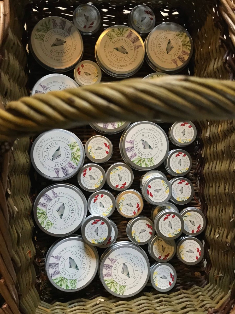 Gorse & Rosehip Lip Balm - EcoBeo