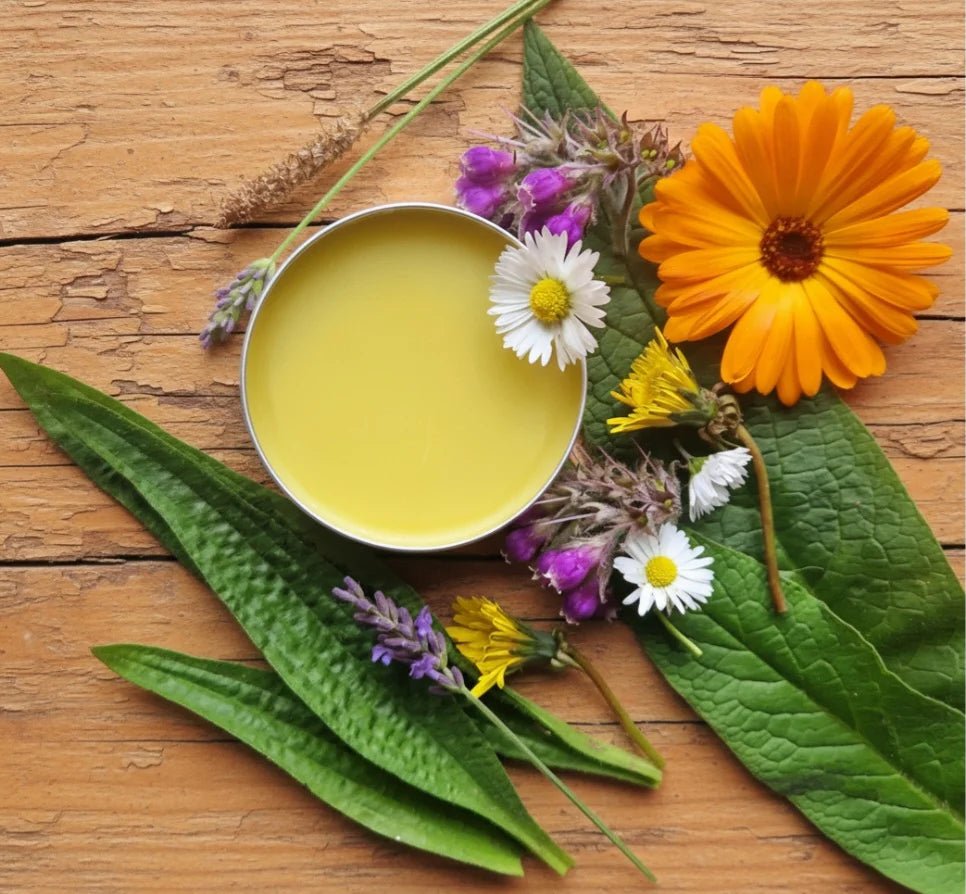 Herbal Comfort Salve - EcoBeo