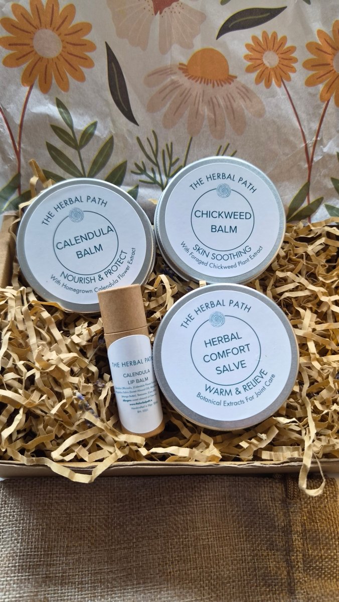 Herbal Comfort Salve - EcoBeo